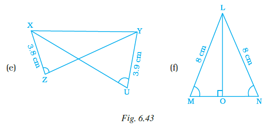 Page 178 Chapter 6 Class 7th NCERT Exemplar